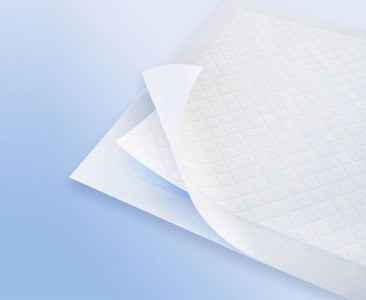 Dispowear Protection